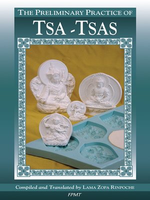 cover image of The Preliminary Practice of TSA-TSAS